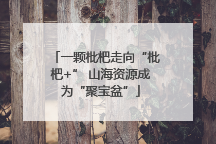 一颗枇杷走向“枇杷+” 山海资源成为“聚宝盆”