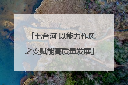 七台河 以能力作风之变赋能高质量发展