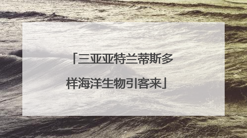 三亚亚特兰蒂斯多样海洋生物引客来