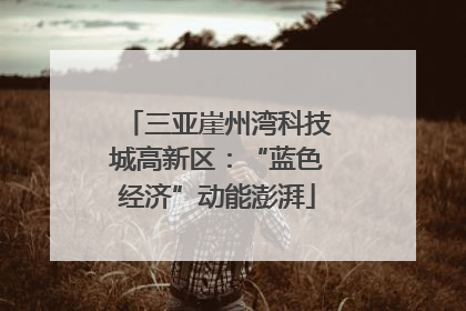三亚崖州湾科技城高新区：“蓝色经济”动能澎湃