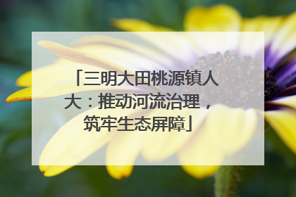 三明大田桃源镇人大：推动河流治理，筑牢生态屏障