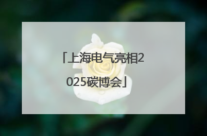 上海电气亮相2025碳博会