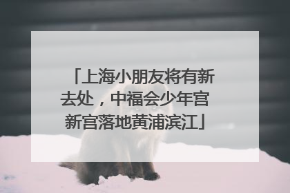 上海小朋友将有新去处，中福会少年宫新宫落地黄浦滨江