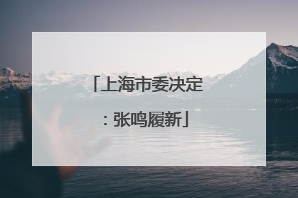 上海市委决定：张鸣履新