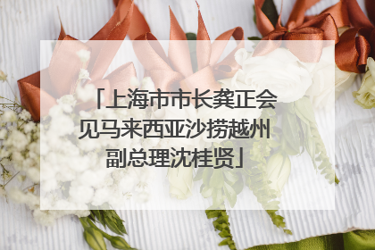 上海市市长龚正会见马来西亚沙捞越州副总理沈桂贤