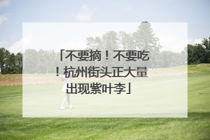 不要摘！不要吃！杭州街头正大量出现紫叶李