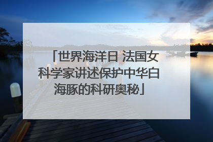 世界海洋日 法国女科学家讲述保护中华白海豚的科研奥秘
