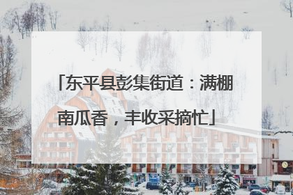 东平县彭集街道：满棚南瓜香，丰收采摘忙