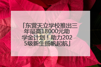 东营天立学校推出三年最高18000元助学金计划！助力2025级新生扬帆起航