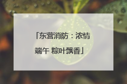 东营消防：浓情端午 粽叶飘香