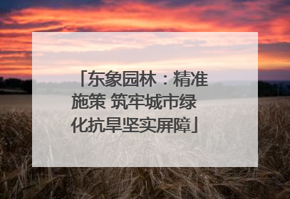 东象园林：精准施策 筑牢城市绿化抗旱坚实屏障