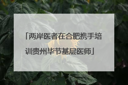 两岸医者在合肥携手培训贵州毕节基层医师