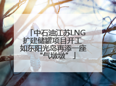 中石油江苏LNG扩建储罐项目开工 如东阳光岛再添一座“气墩墩”