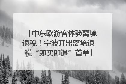 中东欧游客体验离境退税！宁波开出离境退税“即买即退”首单