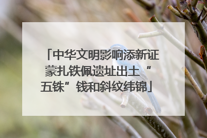 中华文明影响添新证 蒙扎铁佩遗址出土“五铢”钱和斜纹纬锦