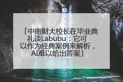 中南财大校长在毕业典礼谈Labubu：它可以作为经典案例来解析，AI难以给出答案