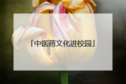 中医药文化进校园
