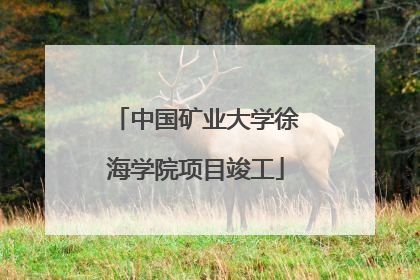 中国矿业大学徐海学院项目竣工