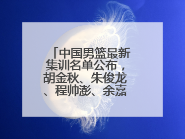 中国男篮最新集训名单公布，胡金秋、朱俊龙、程帅澎、余嘉豪再次入选