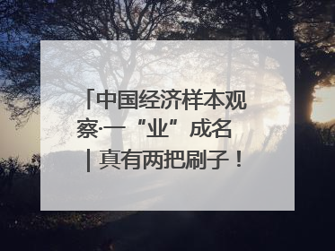 中国经济样本观察·一“业”成名｜真有两把刷子！“刷”出30亿级“颜值经济”