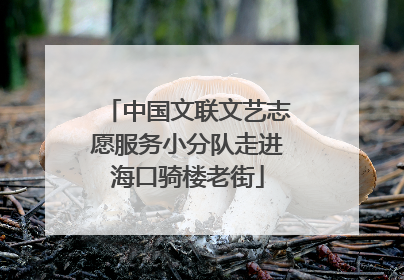中国文联文艺志愿服务小分队走进海口骑楼老街