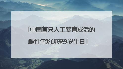 中国首只人工繁育成活的雌性雪豹迎来9岁生日