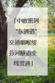 中欧班列“东通道”交通咽喉绥芬河隧道全线贯通