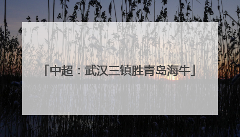 中超：武汉三镇胜青岛海牛