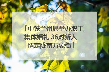 中铁兰州局举办职工集体婚礼 36对新人情定陇南万象街