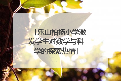 乐山柏杨小学激发学生对数学与科学的探索热情