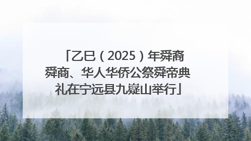 乙巳（2025）年舜裔舜商、华人华侨公祭舜帝典礼在宁远县九嶷山举行