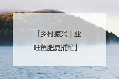 乡村振兴｜业旺鱼肥夏捕忙