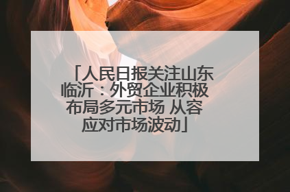 人民日报关注山东临沂：外贸企业积极布局多元市场 从容应对市场波动
