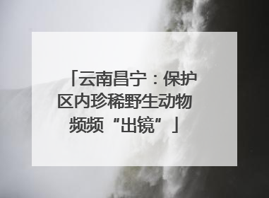 云南昌宁：保护区内珍稀野生动物频频“出镜”