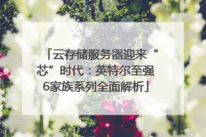 云存储服务器迎来“芯”时代：英特尔至强6家族系列全面解析