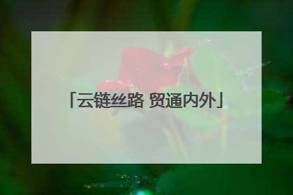 云链丝路 贸通内外