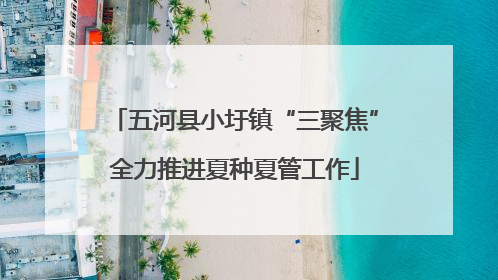 五河县小圩镇“三聚焦”全力推进夏种夏管工作
