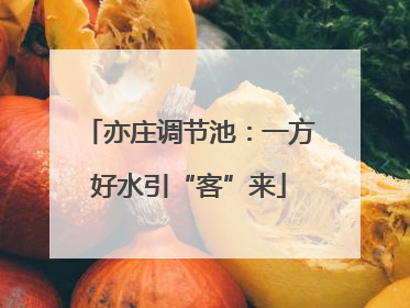 亦庄调节池：一方好水引“客”来