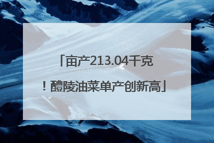 亩产213.04千克！醴陵油菜单产创新高