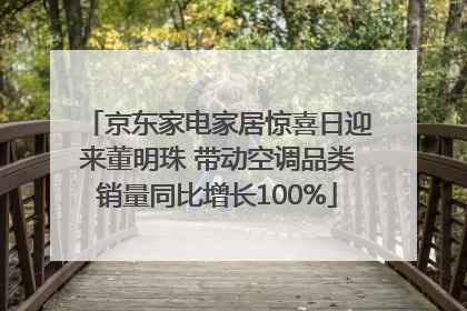 京东家电家居惊喜日迎来董明珠 带动空调品类销量同比增长100%