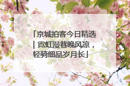 京城拍客今日精选｜霓虹漫巷晚风凉，轻骑细品岁月长