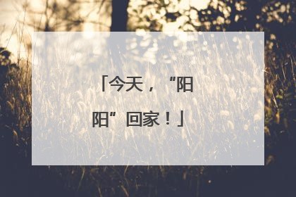 今天，“阳阳”回家！