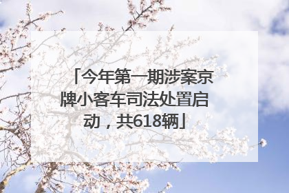 今年第一期涉案京牌小客车司法处置启动，共618辆