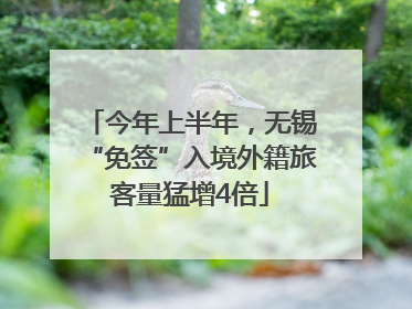 今年上半年，无锡“免签”入境外籍旅客量猛增4倍