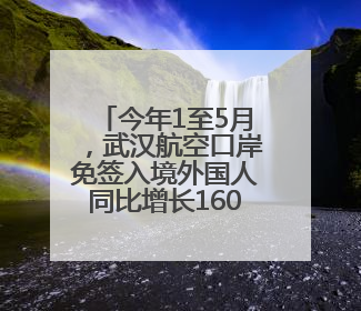 今年1至5月，武汉航空口岸免签入境外国人同比增长160.87%