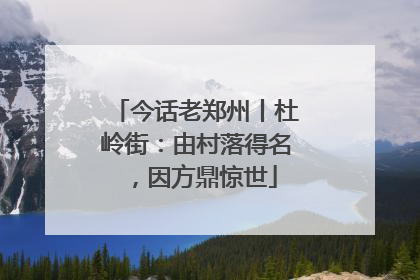 今话老郑州丨杜岭街：由村落得名，因方鼎惊世
