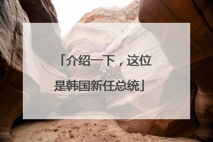 介绍一下，这位是韩国新任总统