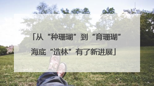 从“种珊瑚”到“育珊瑚” 海底“造林”有了新进展