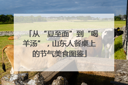 从“夏至面”到“喝羊汤”，山东人餐桌上的节气美食图鉴