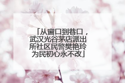 从窗口到巷口，武汉光谷茅店派出所社区民警樊艳玲为民初心永不改